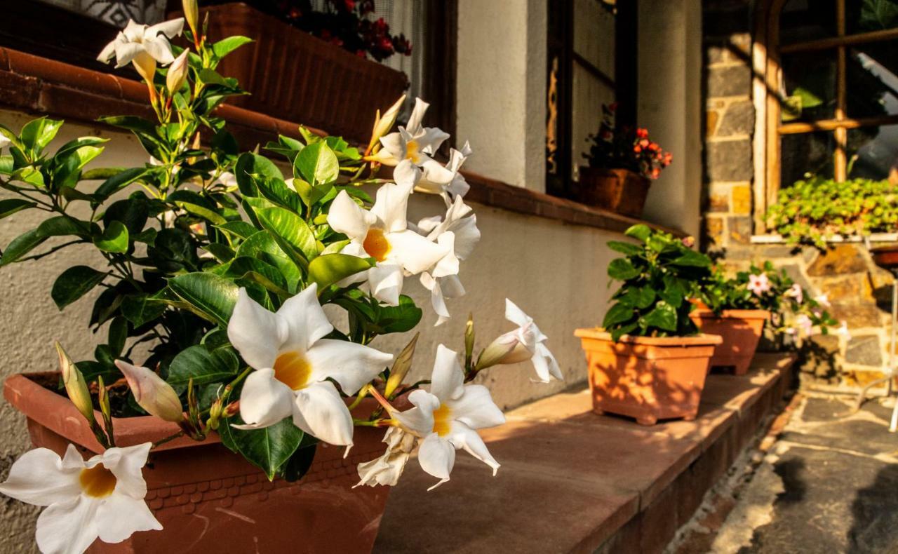 Hostal Montserrat 몬트세니 외부 사진