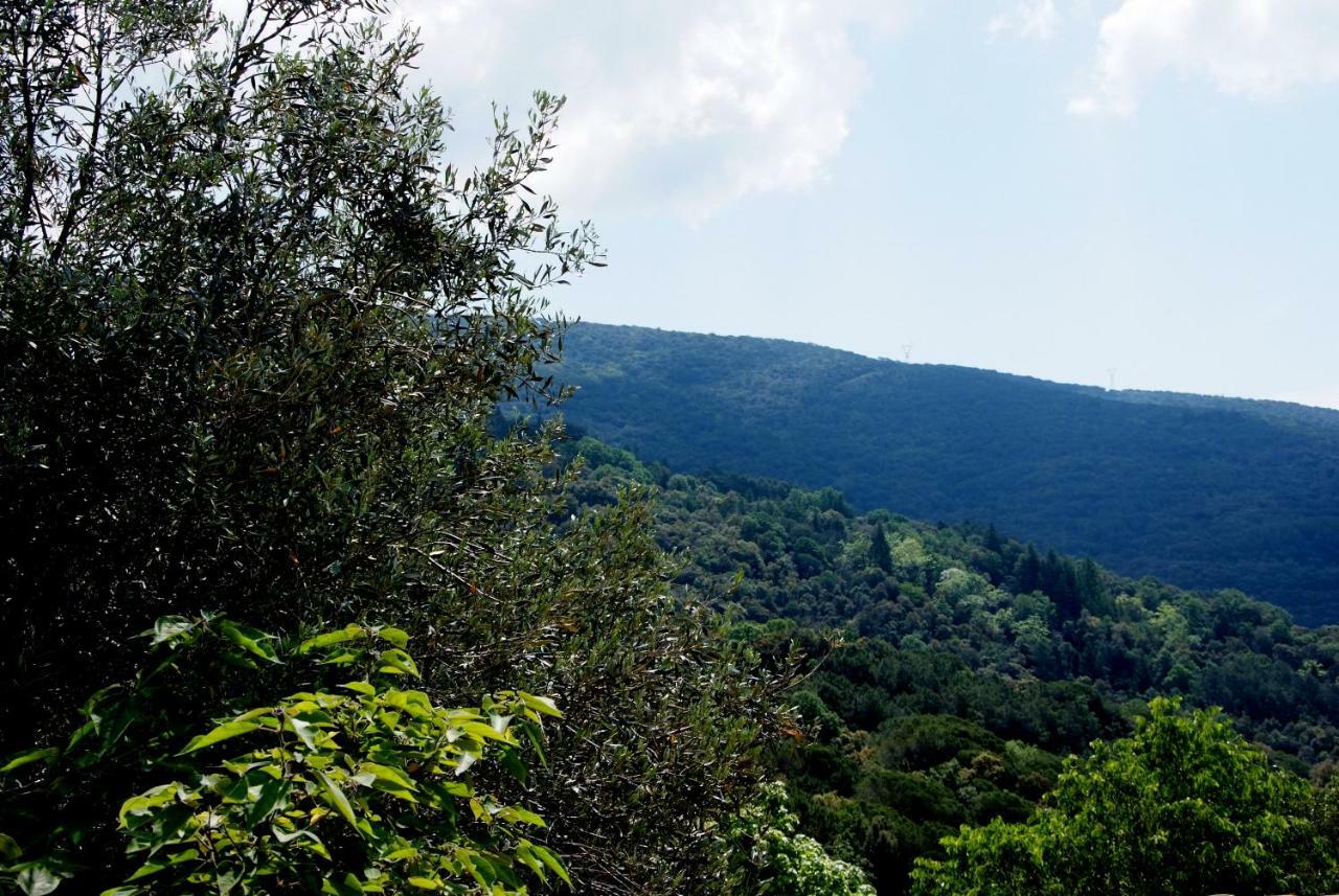 Hostal Montserrat 몬트세니 외부 사진