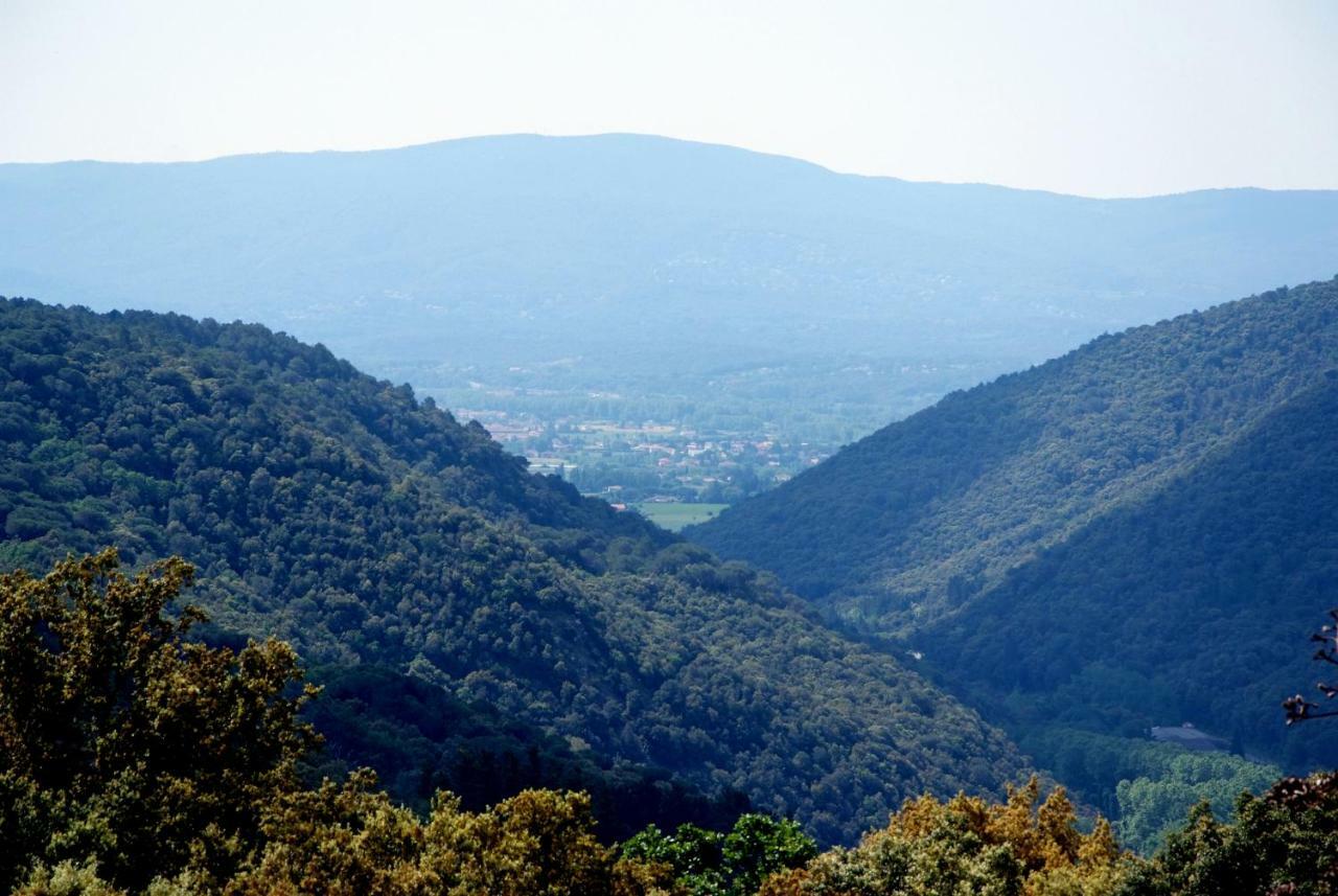 Hostal Montserrat 몬트세니 외부 사진